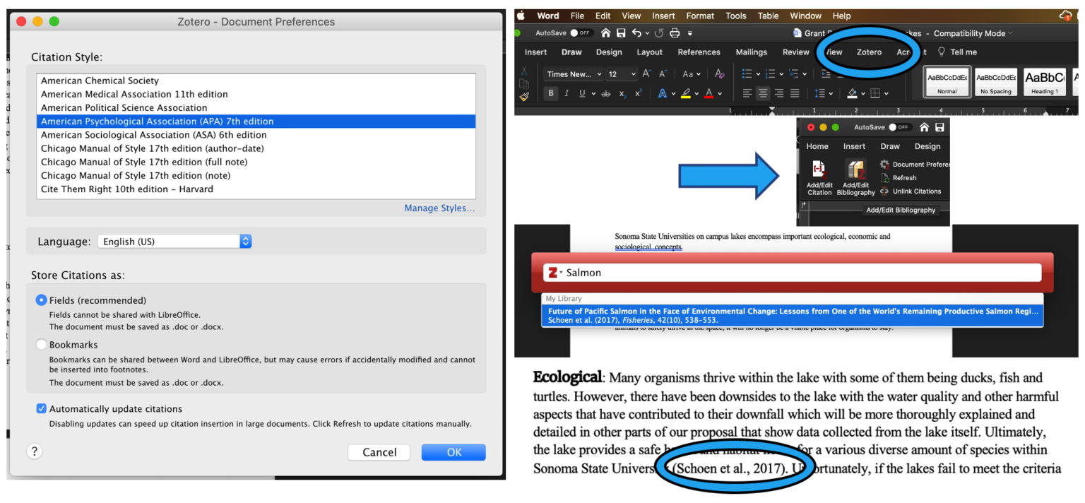 how to add a reference in word with zotero