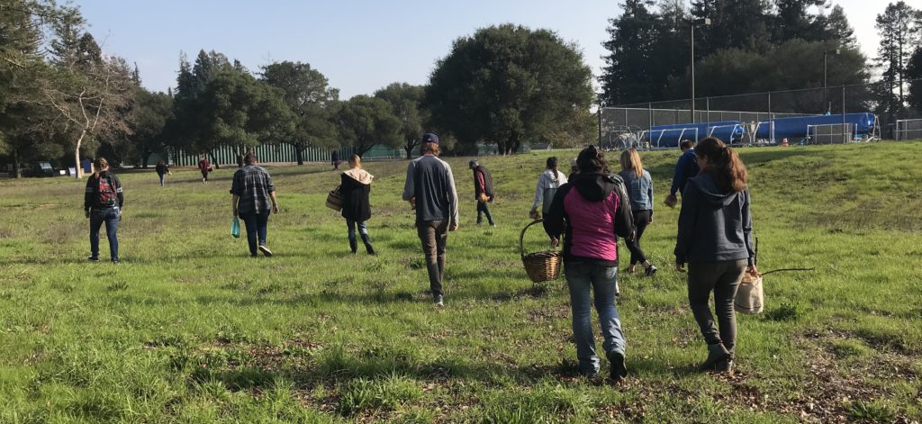 Foraging on the SSU campus. © W.A. St. John